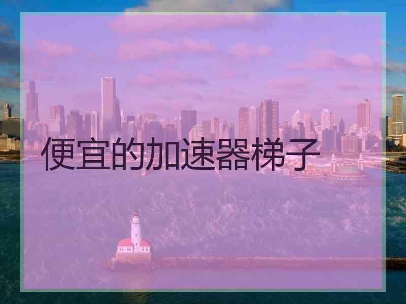 便宜的加速器梯子