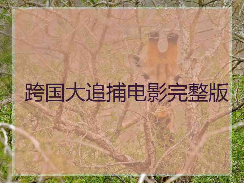 跨国大追捕电影完整版