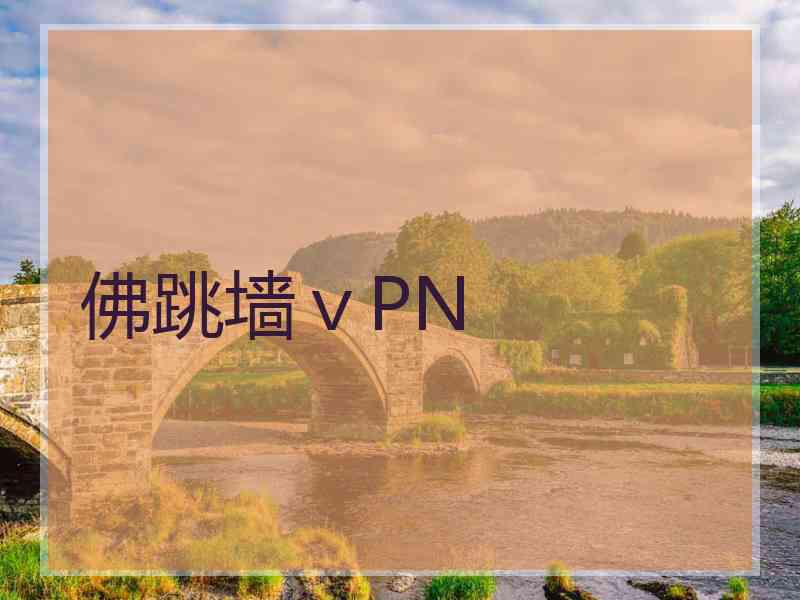 佛跳墙ⅴPN