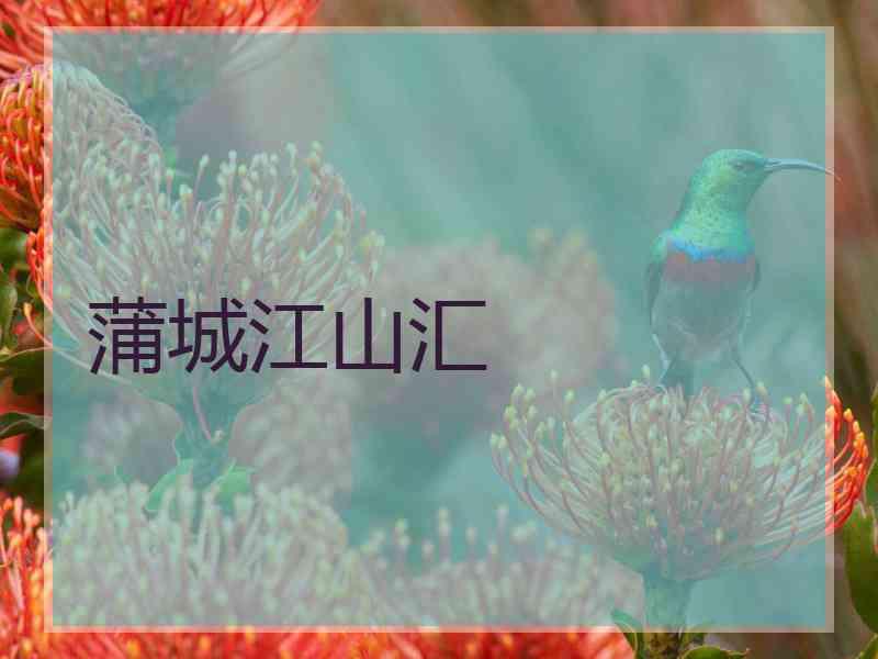 蒲城江山汇