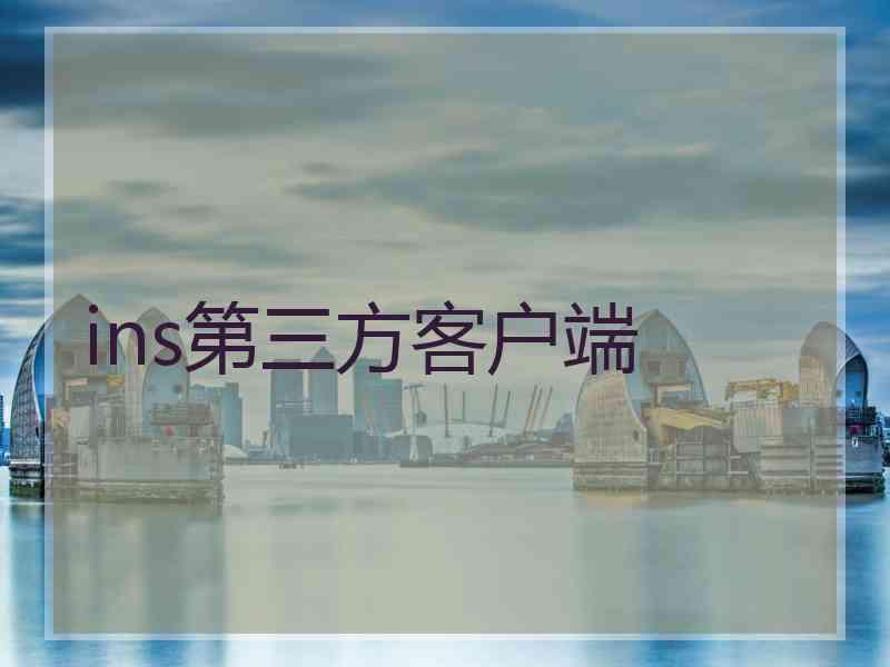 ins第三方客户端