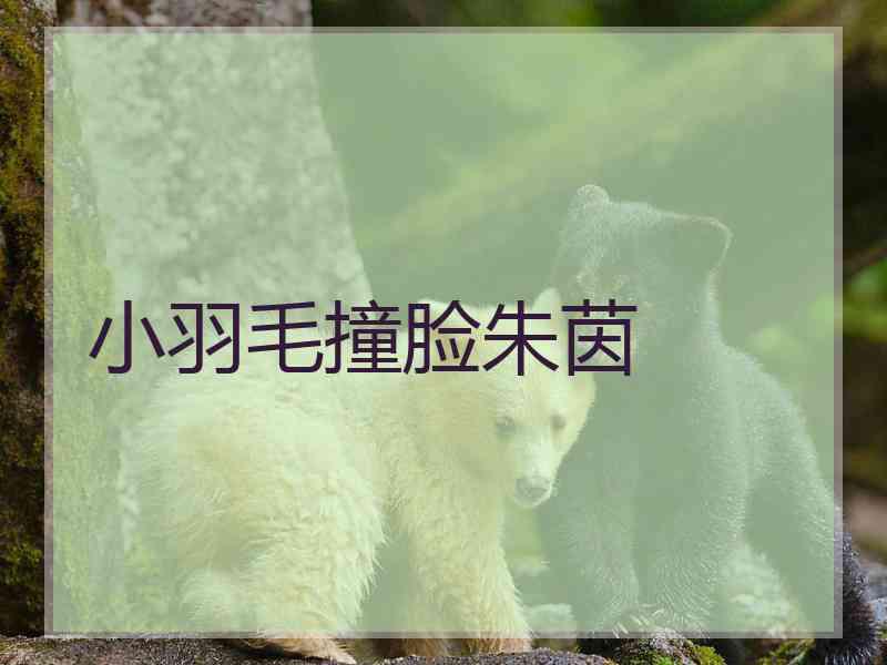 小羽毛撞脸朱茵