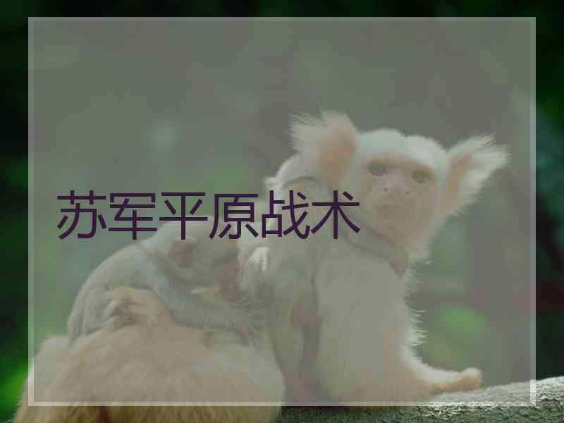 苏军平原战术