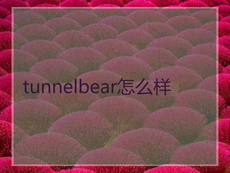 tunnelbear怎么样