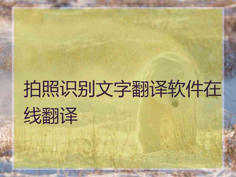 拍照识别文字翻译软件在线翻译