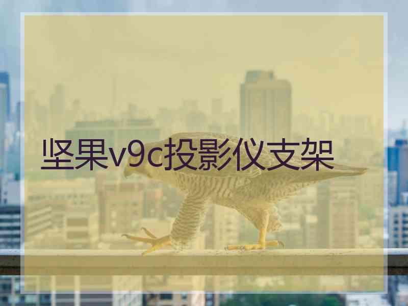 坚果v9c投影仪支架