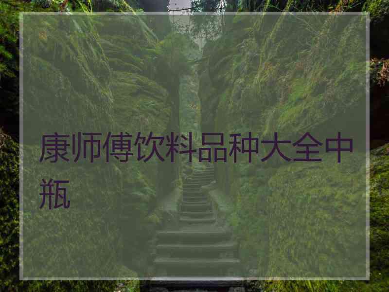 康师傅饮料品种大全中瓶