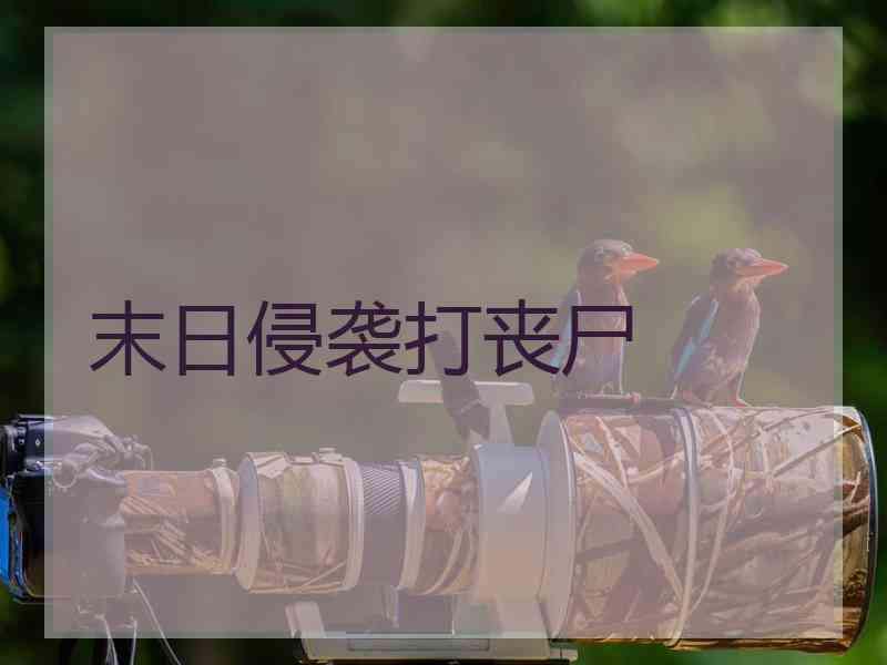 末日侵袭打丧尸