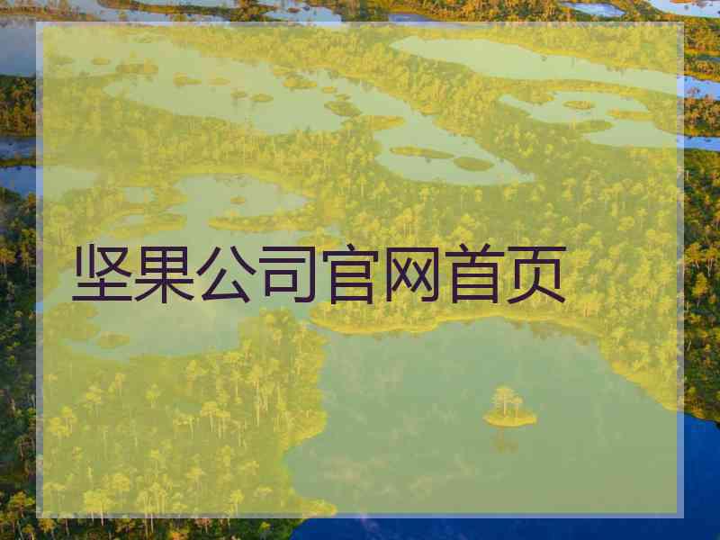 坚果公司官网首页