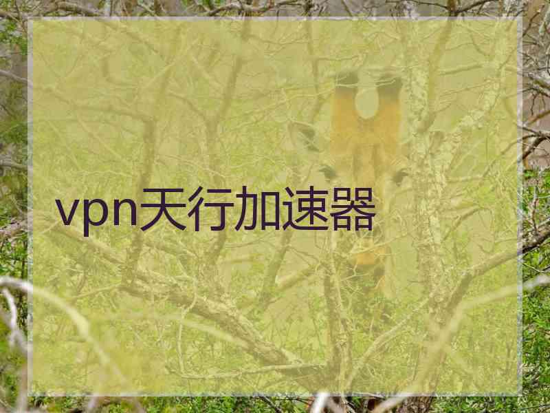 vpn天行加速器