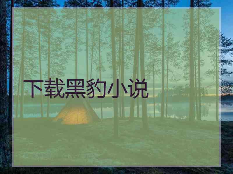 下载黑豹小说