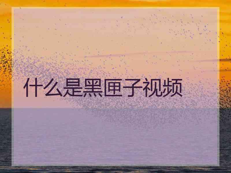 什么是黑匣子视频