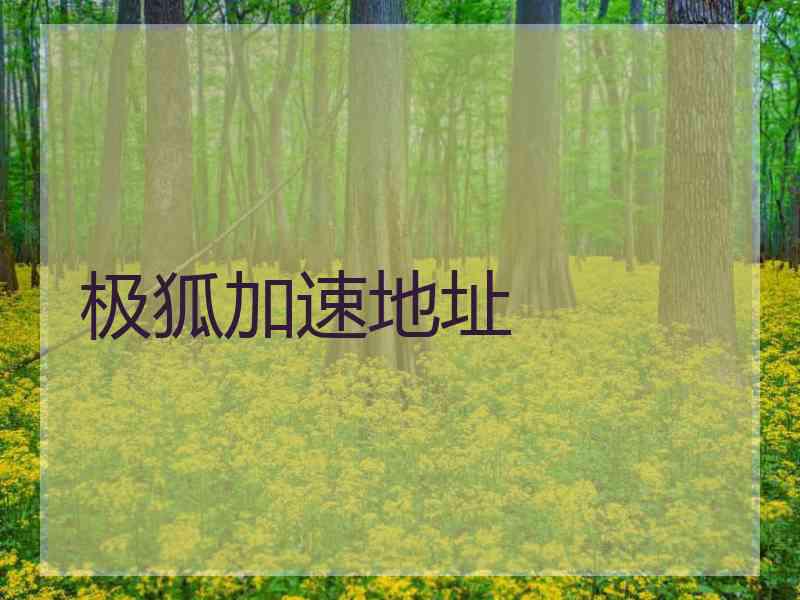 极狐加速地址