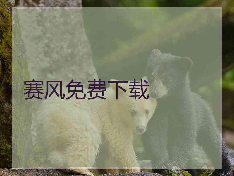 赛风免费下载