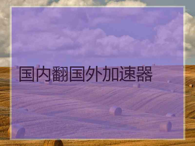 国内翻国外加速器