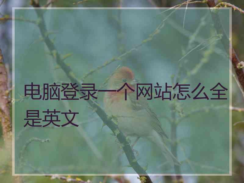 电脑登录一个网站怎么全是英文