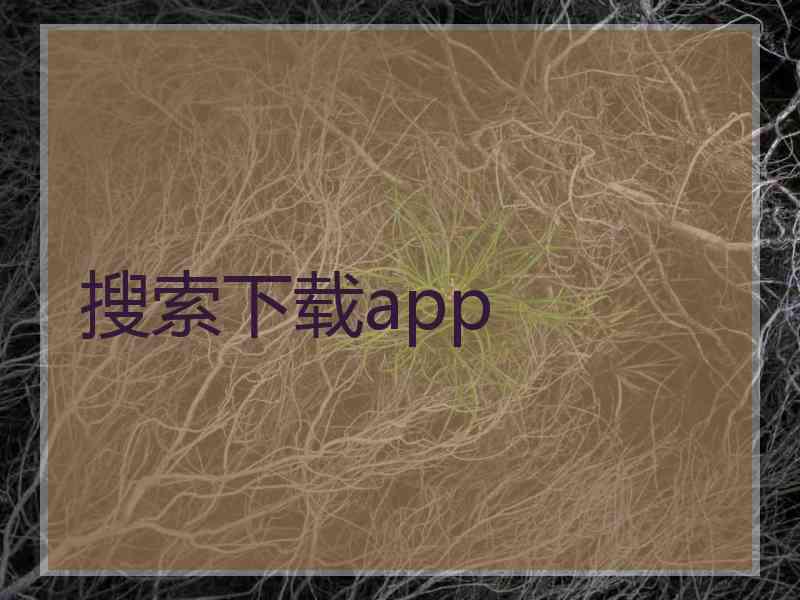 搜索下载app