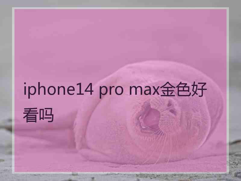 iphone14 pro max金色好看吗