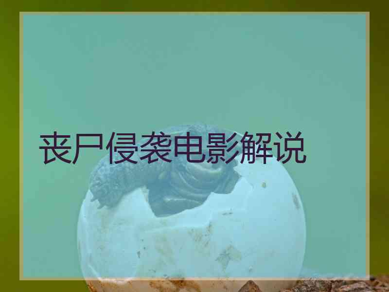 丧尸侵袭电影解说