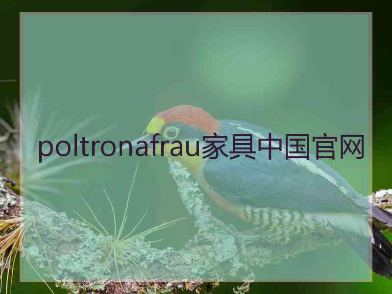 poltronafrau家具中国官网