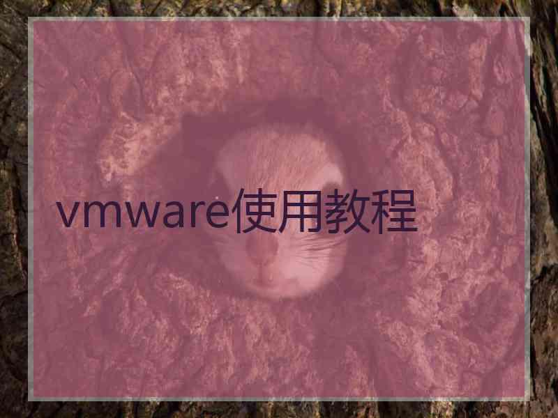 vmware使用教程