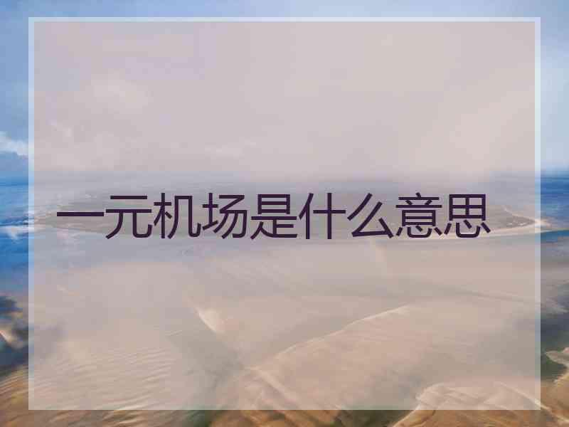 一元机场是什么意思