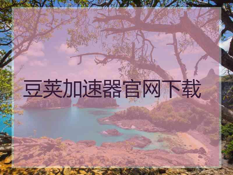 豆荚加速器官网下载