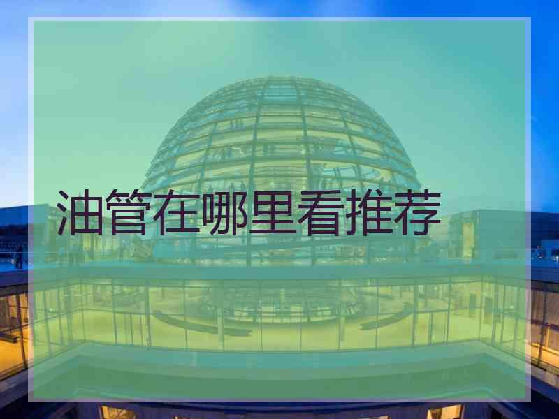 油管在哪里看推荐