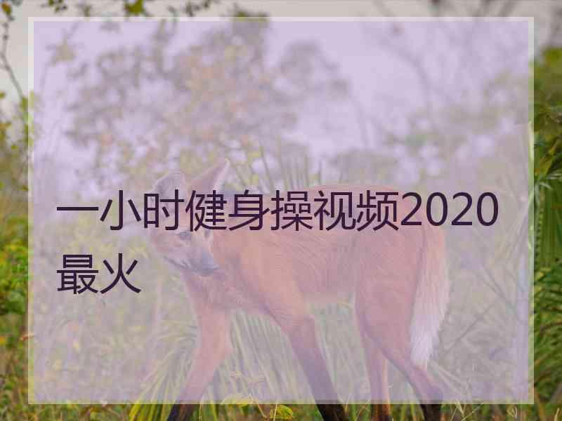 一小时健身操视频2020最火