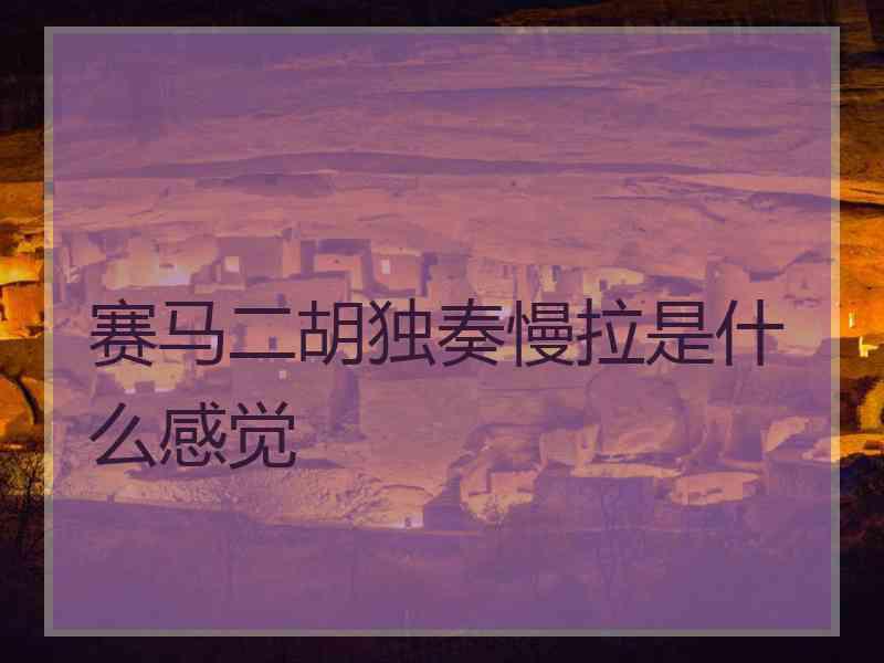 赛马二胡独奏慢拉是什么感觉