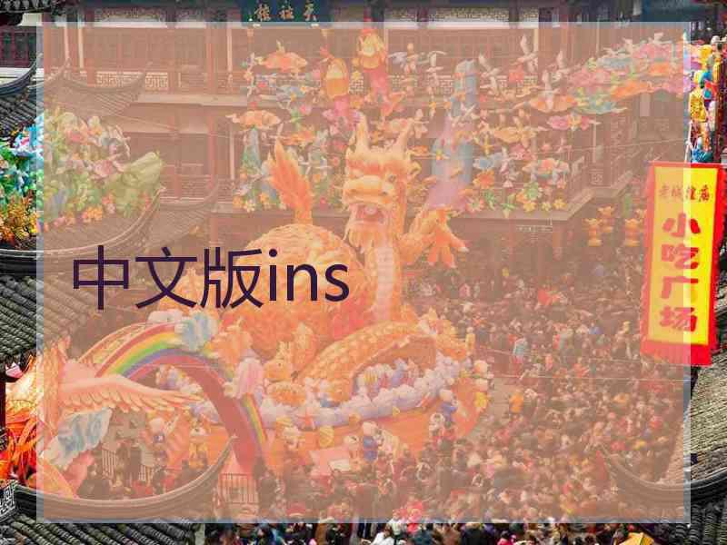 中文版ins