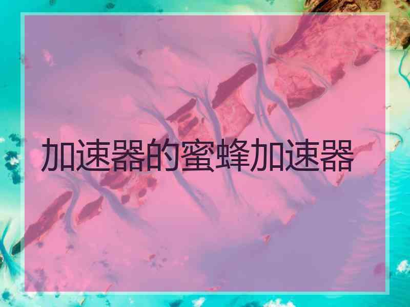 加速器的蜜蜂加速器