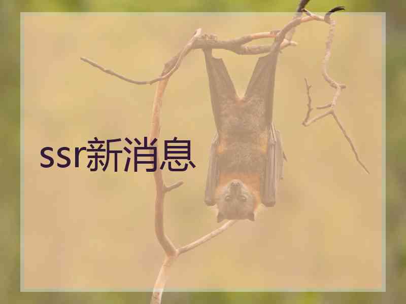 ssr新消息