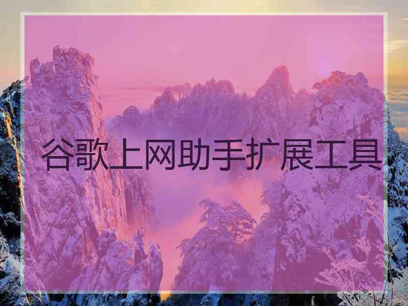 谷歌上网助手扩展工具