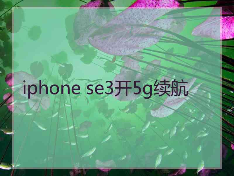 iphone se3开5g续航