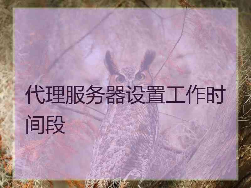 代理服务器设置工作时间段