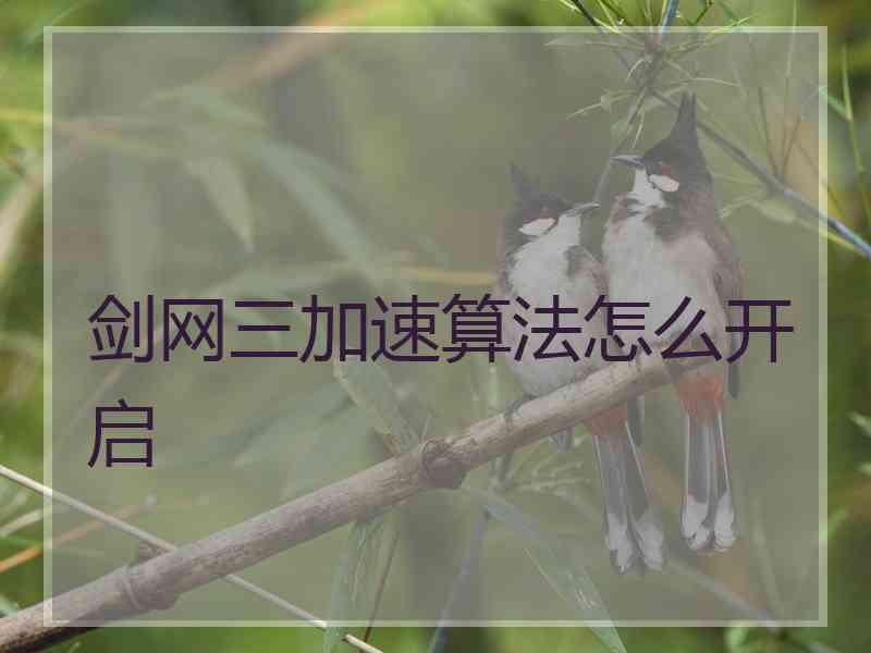 剑网三加速算法怎么开启