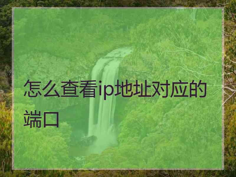 怎么查看ip地址对应的端口