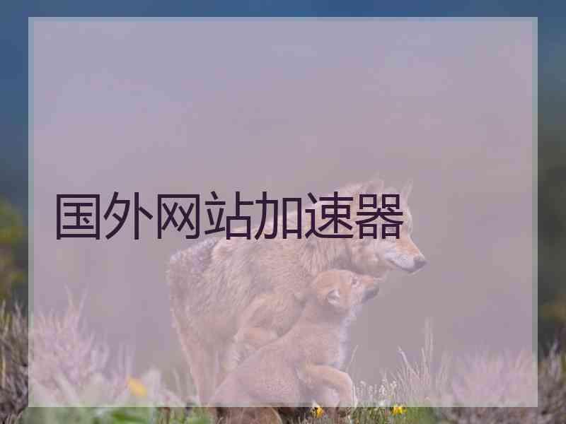 国外网站加速器