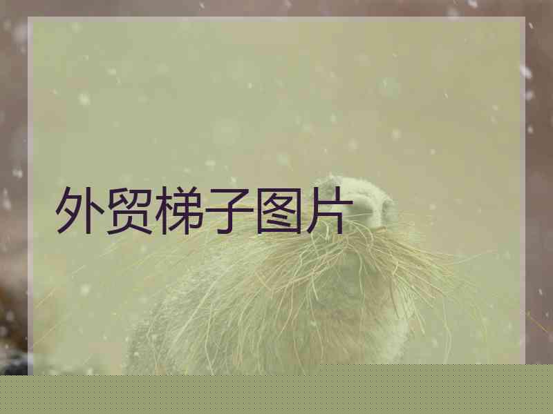 外贸梯子图片