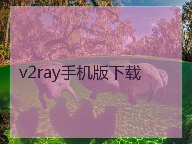 v2ray手机版下载