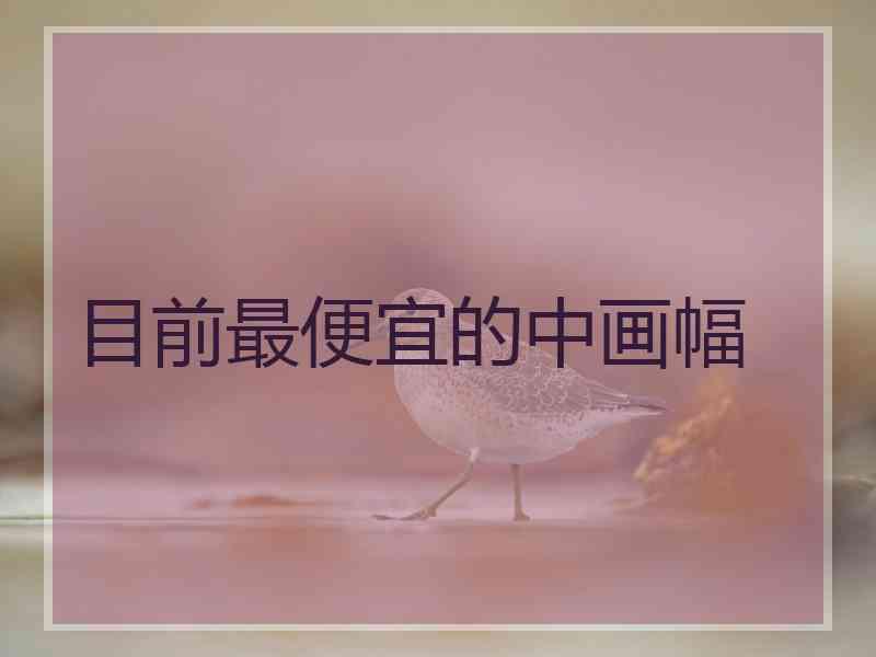 目前最便宜的中画幅