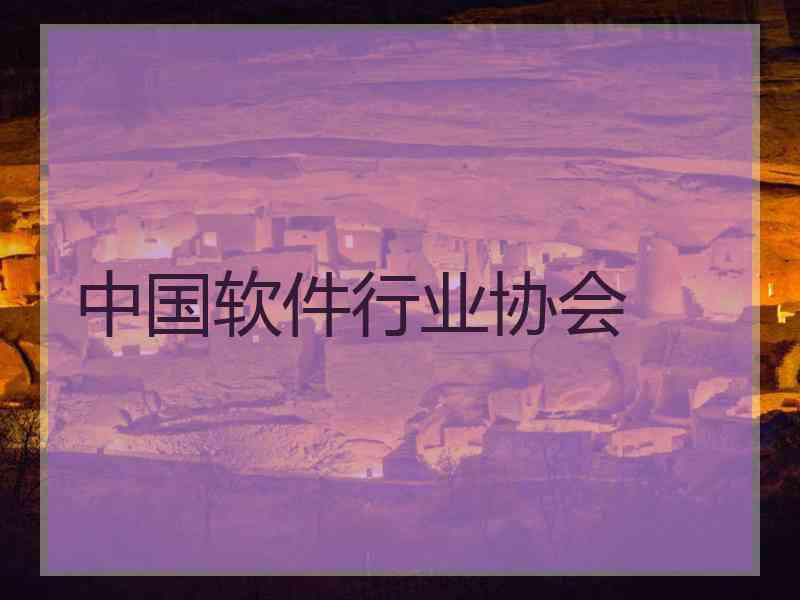 中国软件行业协会