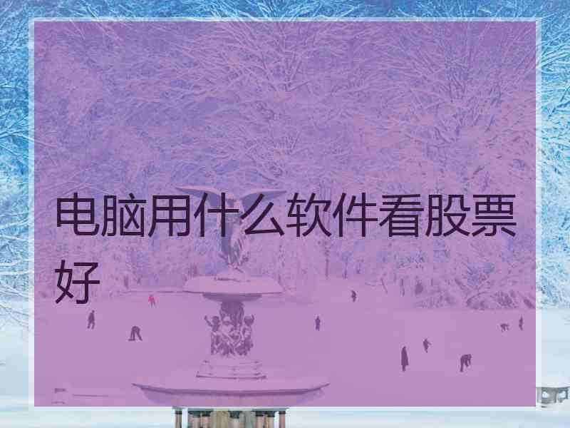 电脑用什么软件看股票好