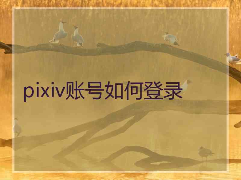 pixiv账号如何登录