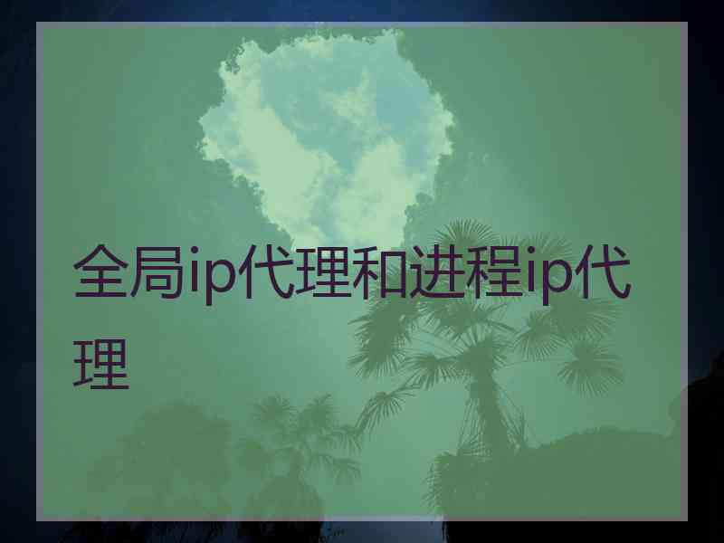全局ip代理和进程ip代理