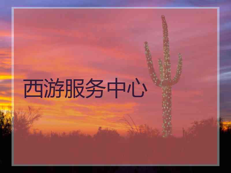 西游服务中心