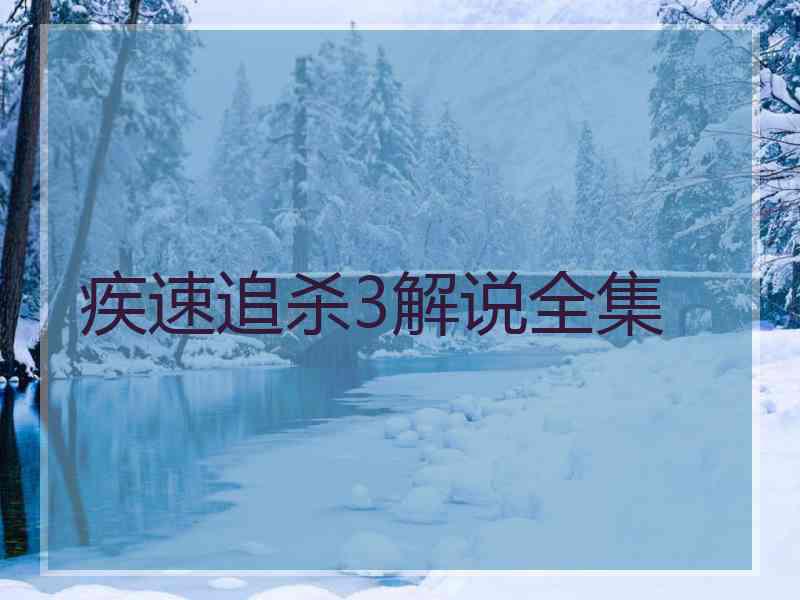 疾速追杀3解说全集