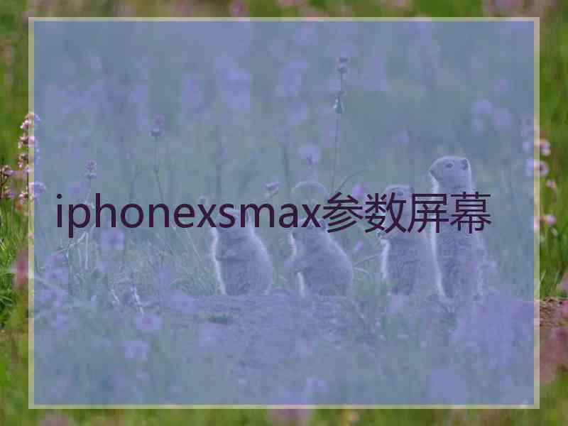 iphonexsmax参数屏幕