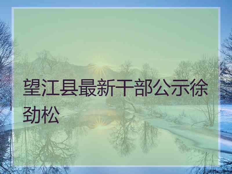 望江县最新干部公示徐劲松